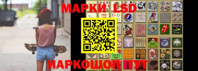 прущие грибы Будённовск