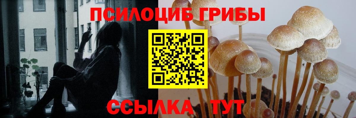 Псилоцибиновые грибы GOLDEN TEACHER  Вход с VPN  Сафоново 